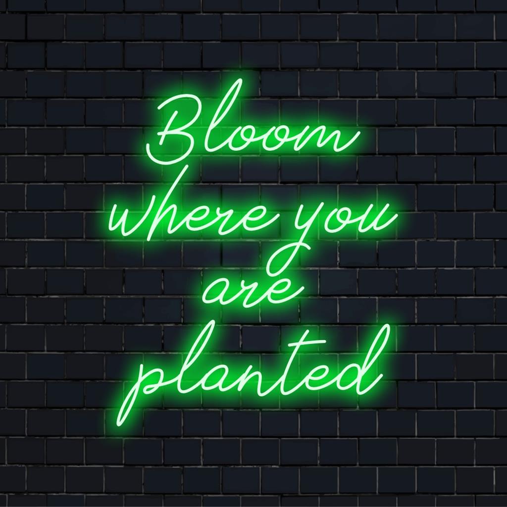 Lebendiges LED-Neonschild „Bloom Where You Are Planted“; perfekte Mischung aus Text und Grafik, leuchtende Neonkunst für jeden Raum.