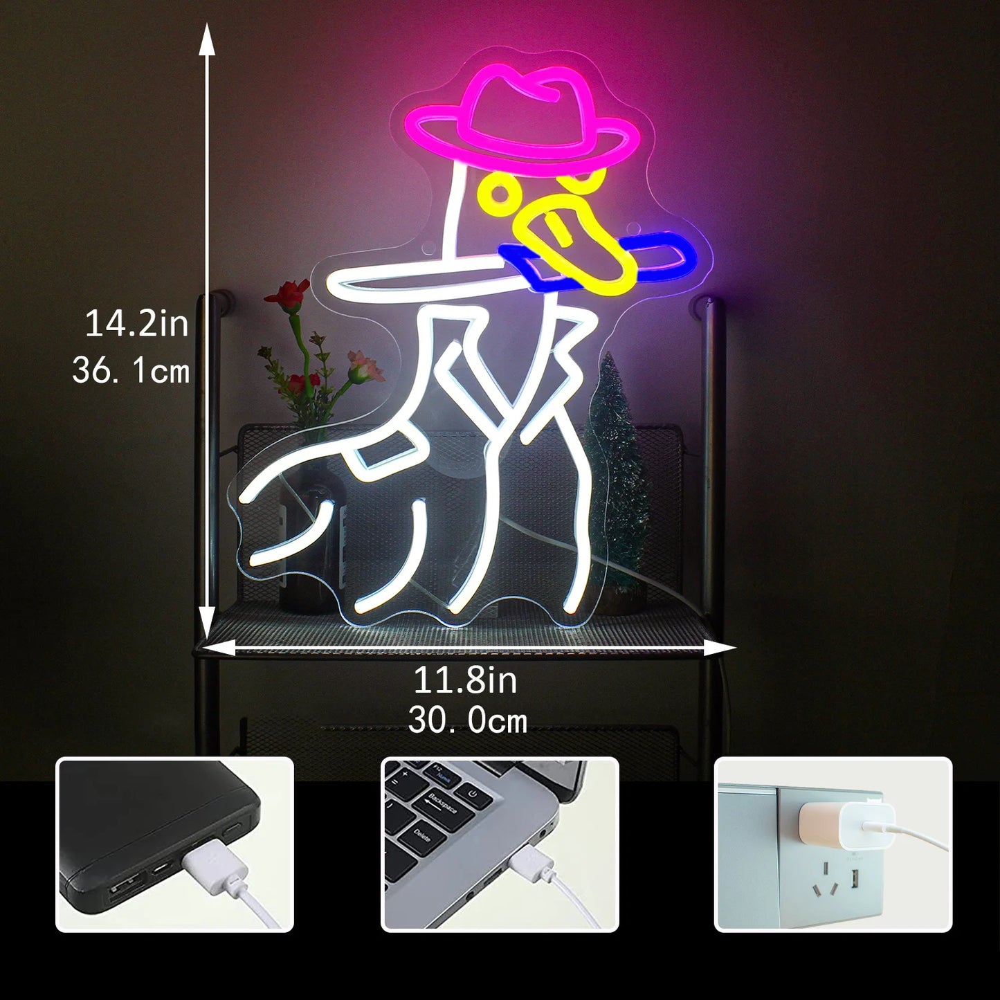 Cowboy-Ente 5V USB LED Leuchtschild - Preisgünstig