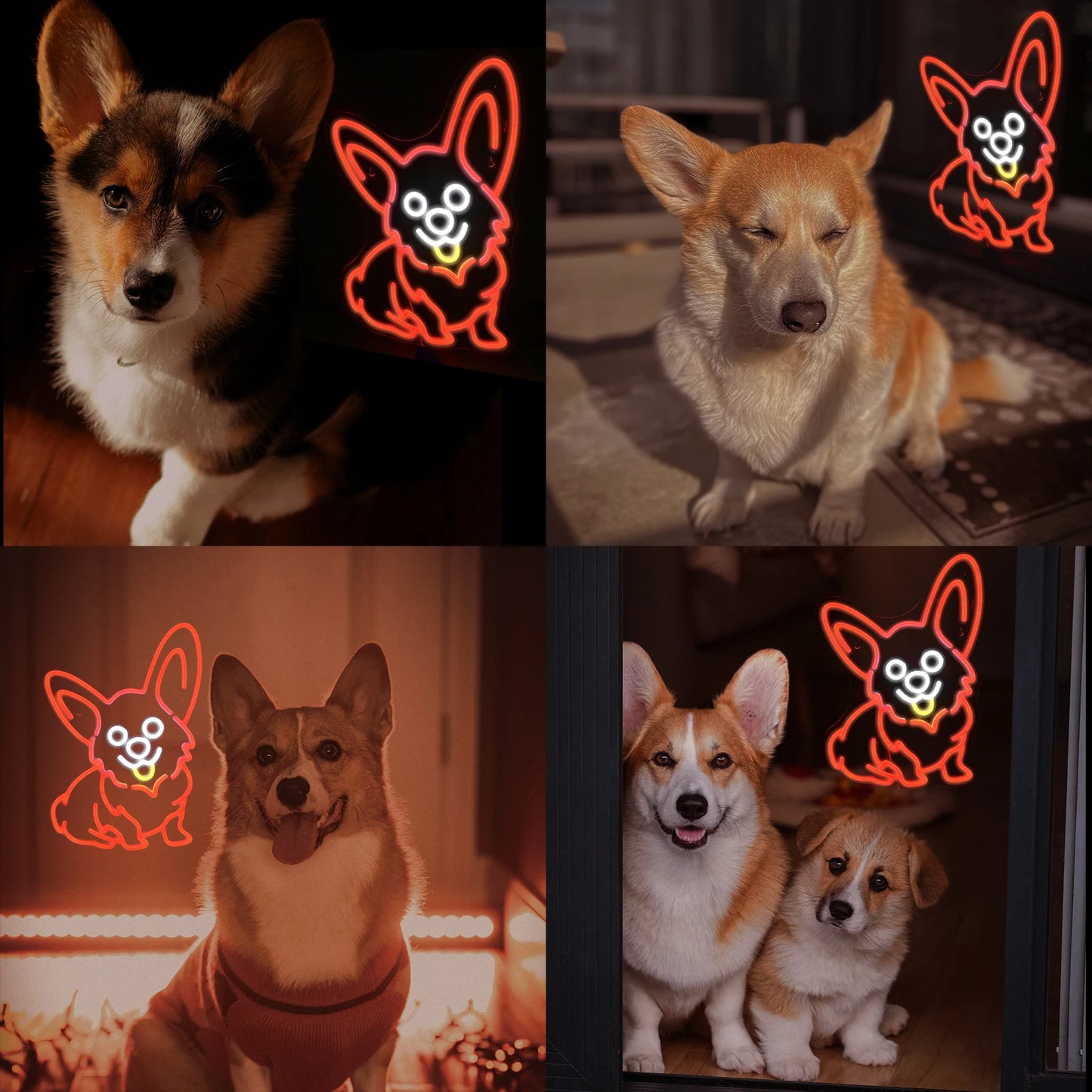 Corgi Hund Rot 5V USB LED Leuchtschild - Preisgünstig