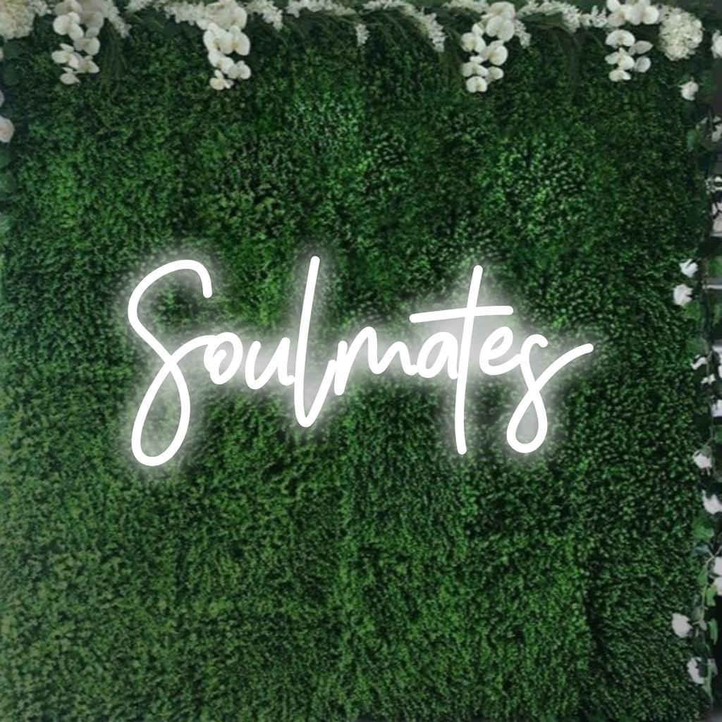 Farbenfrohes, individuelles LED-Neonschild mit dem hell leuchtenden Wort „Soulmates“, perfekt für eine personalisierte Neonlichtdekoration.