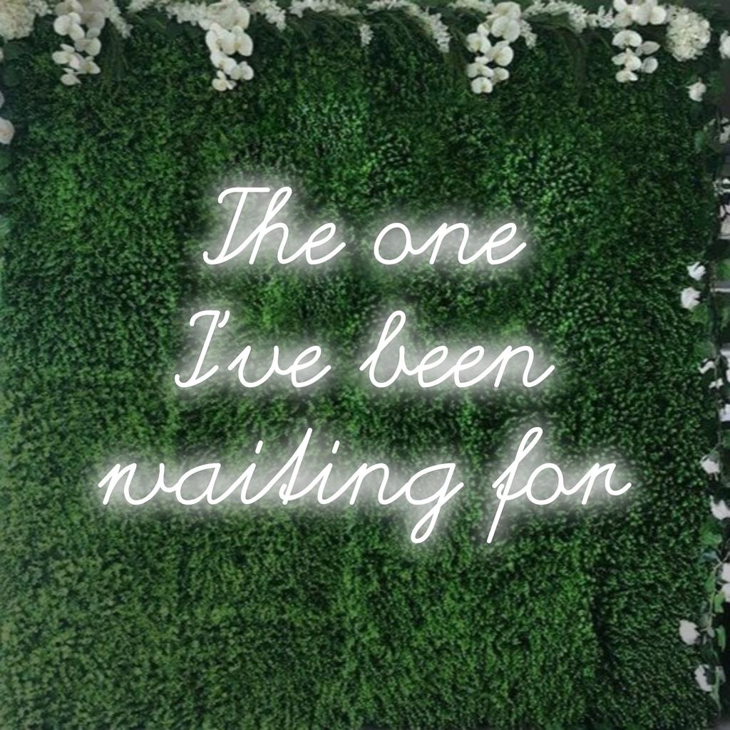 LED-Neonschild mit „The One I’ve Been Waiting For“, leuchtende Kunst für eine fesselnde Atmosphäre und eine individuelle Einrichtung.