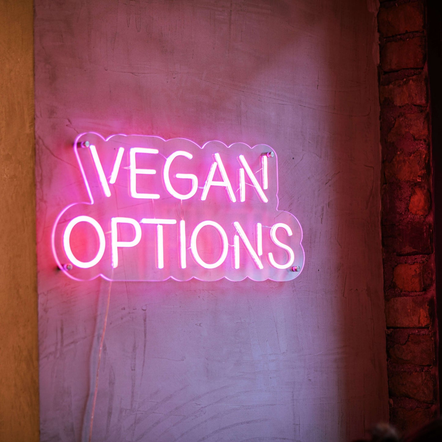 Vegane Optionen Neonschild - The Art Neon