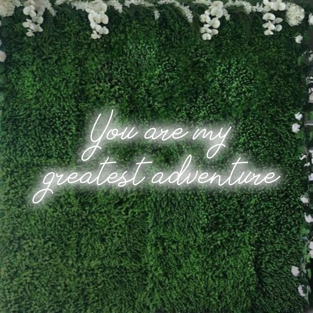 Individuell gestaltetes LED-Neonschild mit dem Satz „You Are My Greatest Adventure“, perfekt für eine personalisierte Neondekoration.