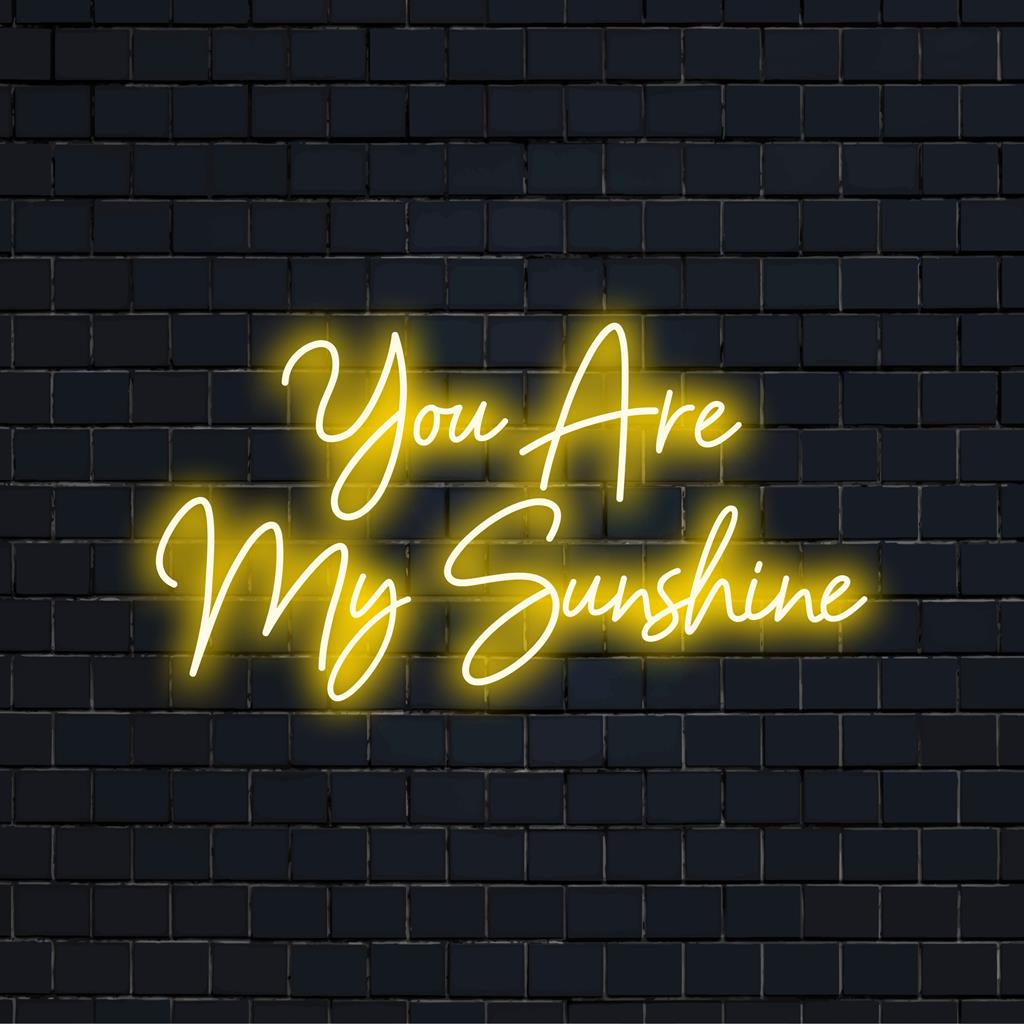 Individuelles LED-Neonschild mit der Aufschrift „You Are My Sunshine“; verleiht jedem Raum eine lebendige Neonlichtdekoration.