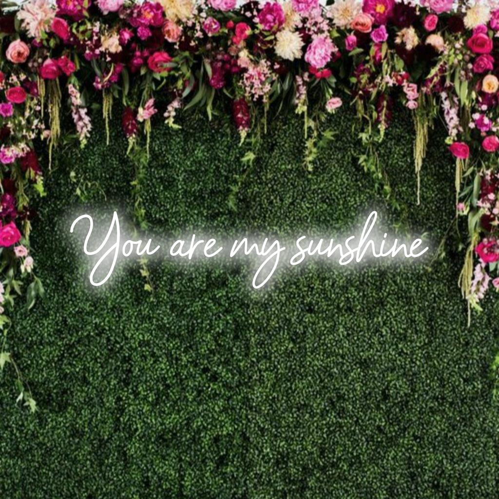 Individuelles LED-Neonschild mit der Aufschrift „You Are My Sunshine“ in leuchtendem Gelb; verleiht Ihrem Raum eine warme, persönliche Note.