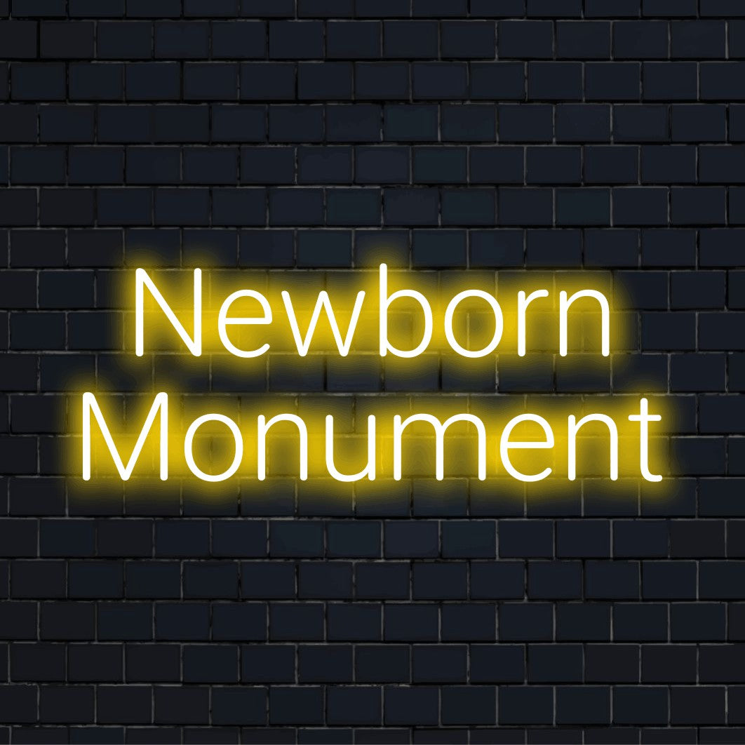 Newborn Monument Neon Sign, bright neon glow on dark brick wall