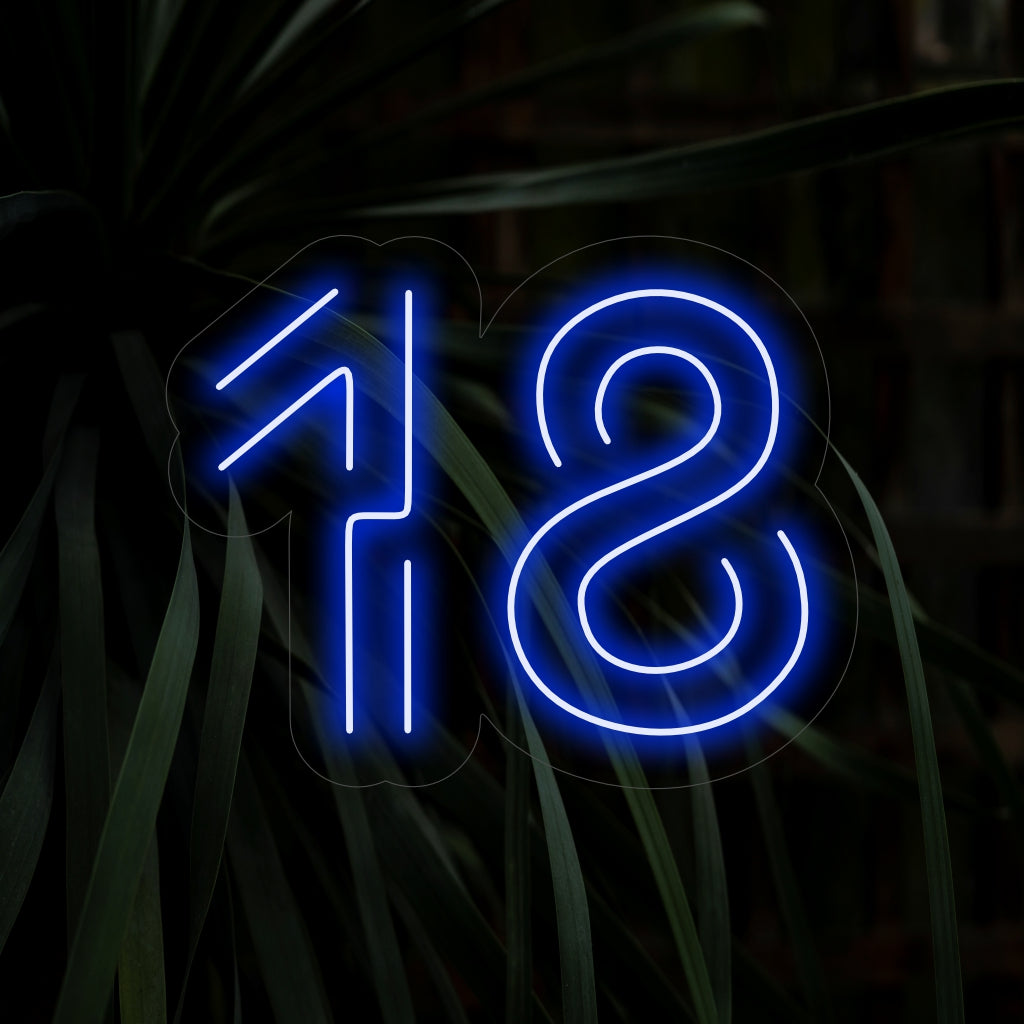 Das „18. Geburtstags-Neonschild“ ist eine lebendige und feierliche Ergänzung mit der Zahl 18 in einem lebendigen und lustigen Design. Perfekt, um den besonderen Meilenstein des 18. Geburtstags zu feiern.