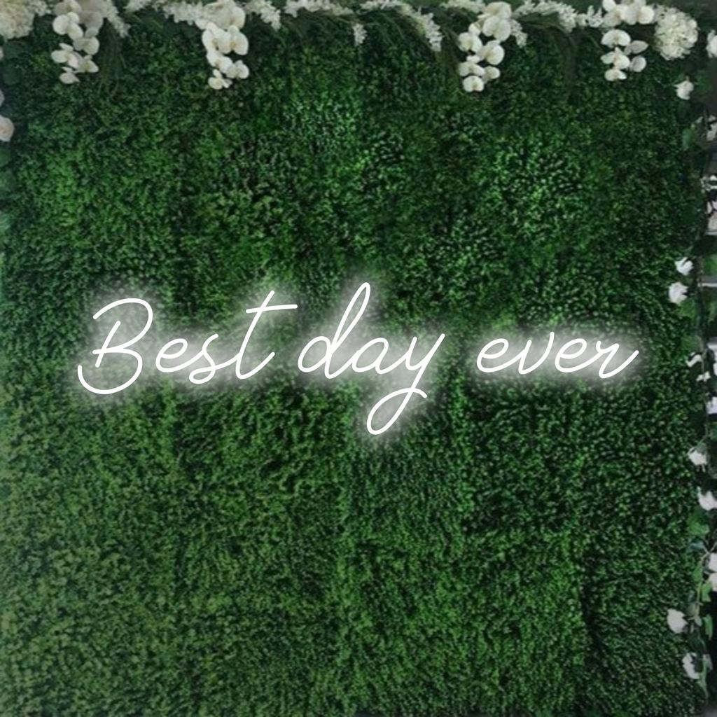 Helles LED-Neonschild „Best Day Ever“; vielseitiges, individuelles Dekor, das Positivität und Freude vermittelt.