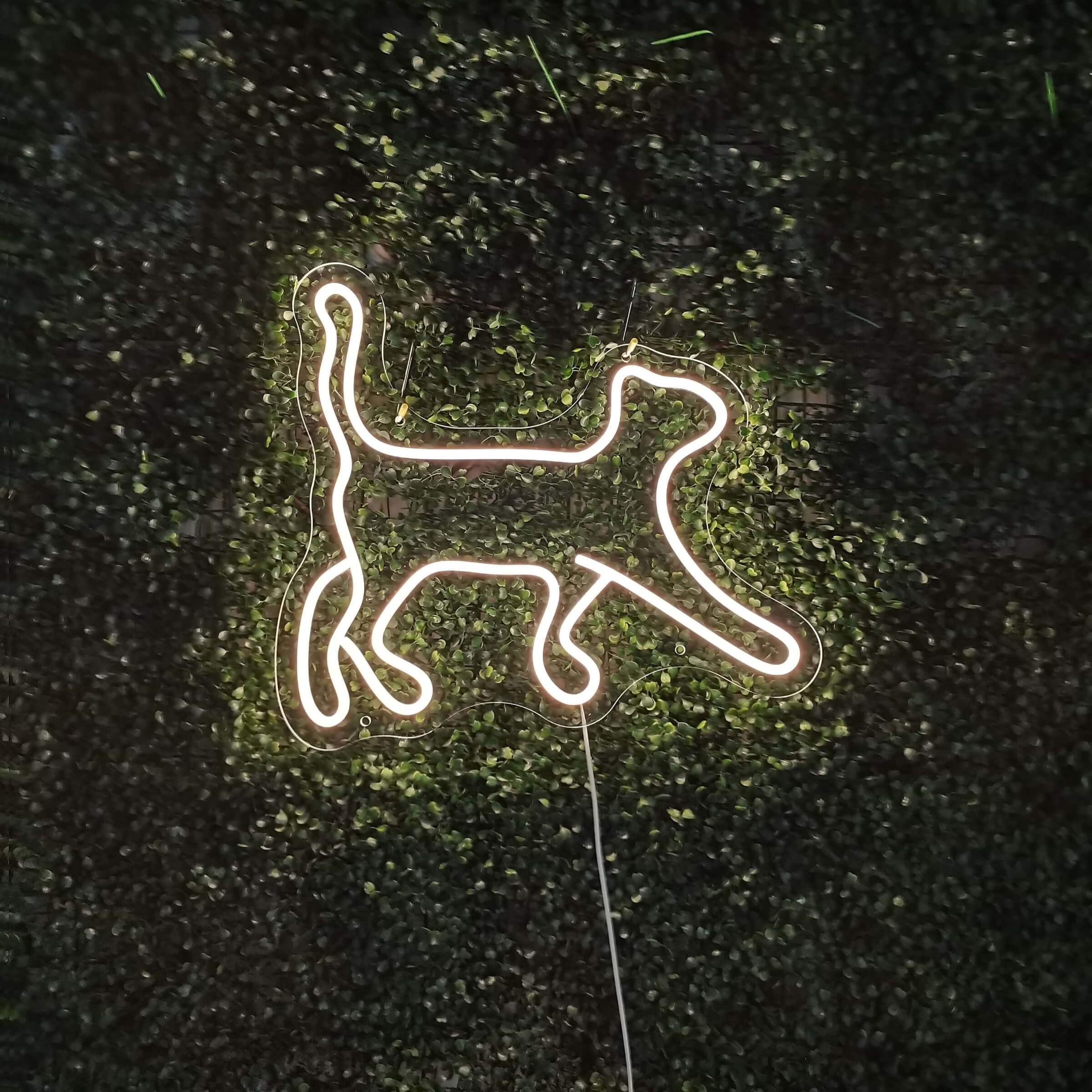Katzen-Neonschild - The Art Neon