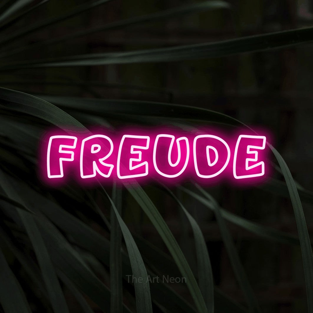 LED neon sign reading “FREUDE”, arranged in a single line.