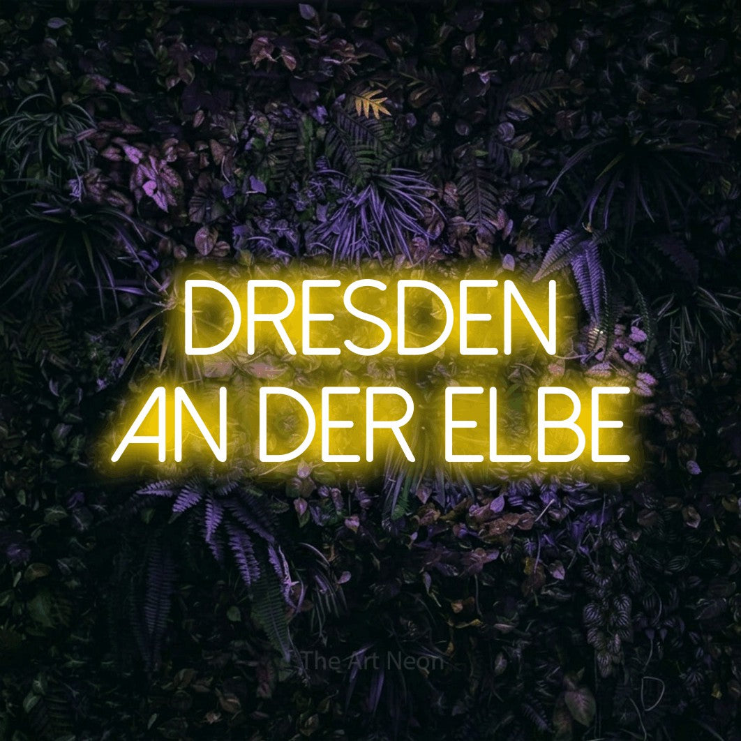 LED neon sign reading “Dresden an der Elbe”, arranged in 2 lines.
