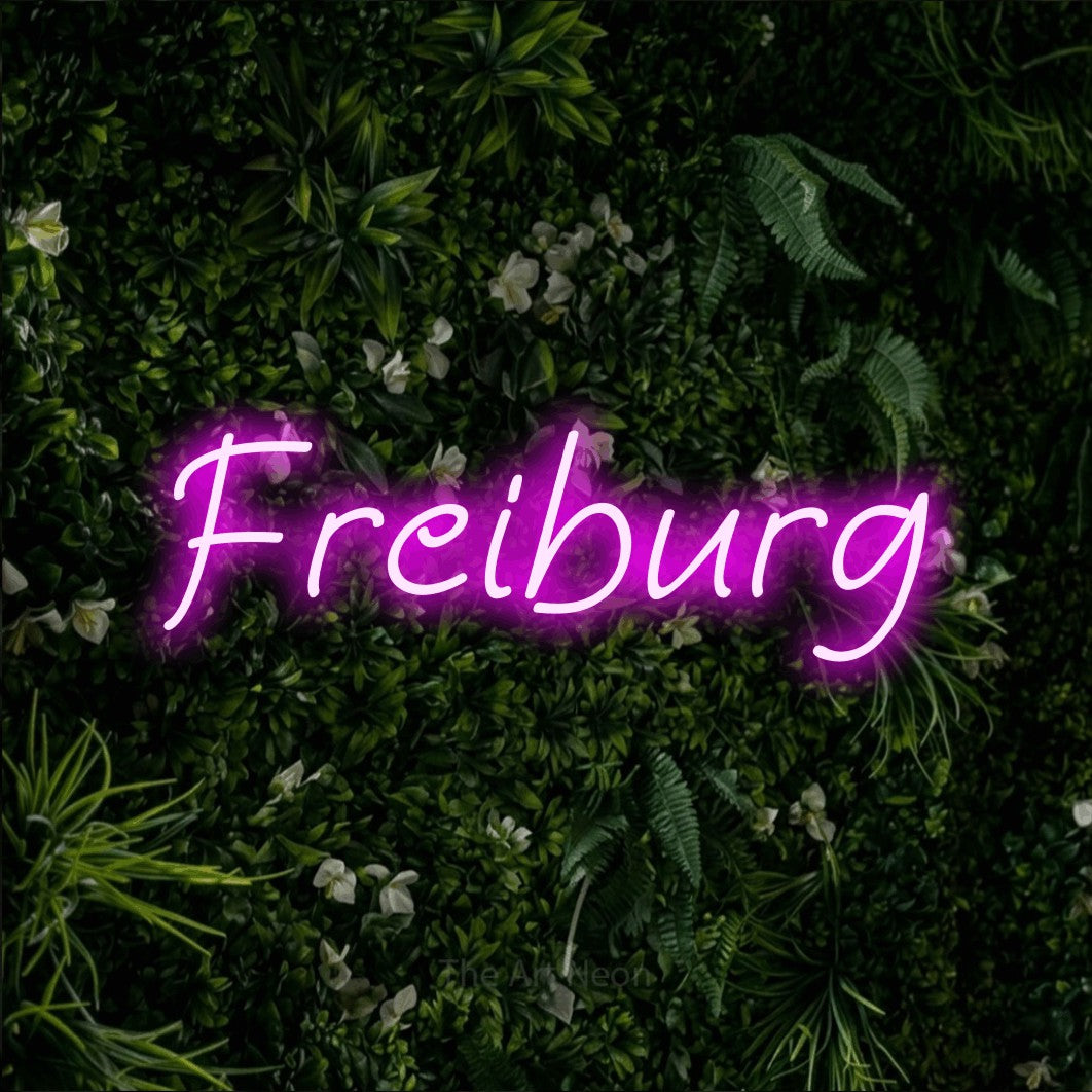 LED neon sign reading “Freiburg”, arranged in a single line.