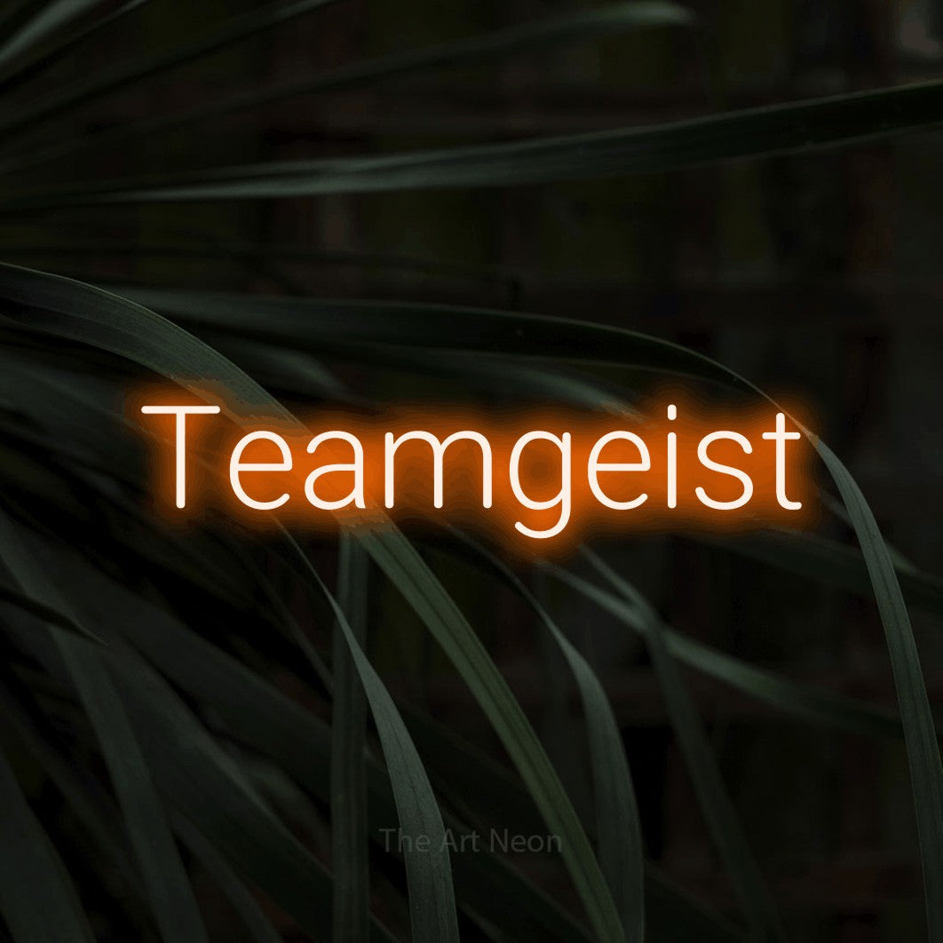 LED neon sign reading “Teamgeist”, arranged in a single line.