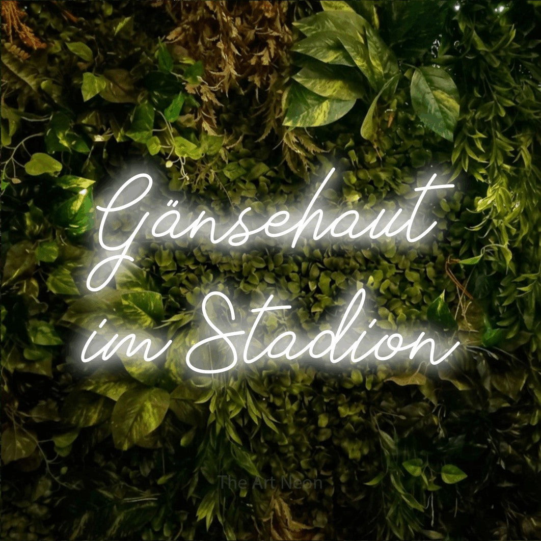 LED neon sign reading “Gänsehaut im Stadion”, arranged in 2 lines.