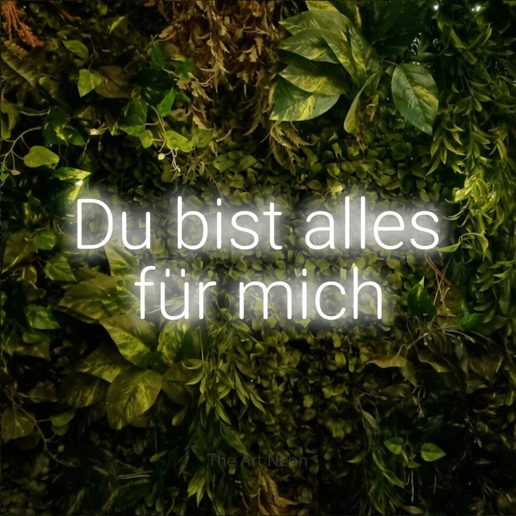 LED neon sign reading “Du bist alles für mich”, arranged in 2 lines.