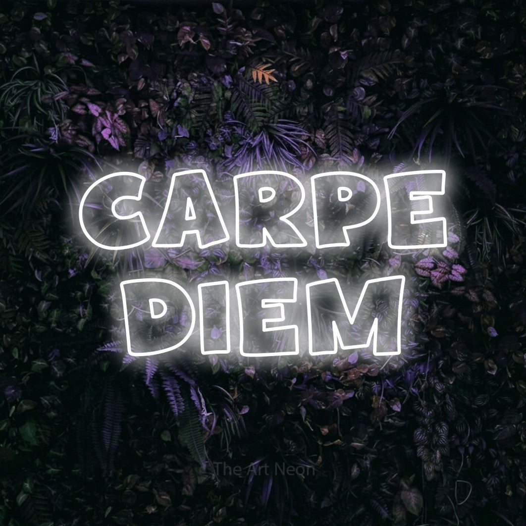 LED neon sign reading “Carpe Diem”, arranged in 2 lines.