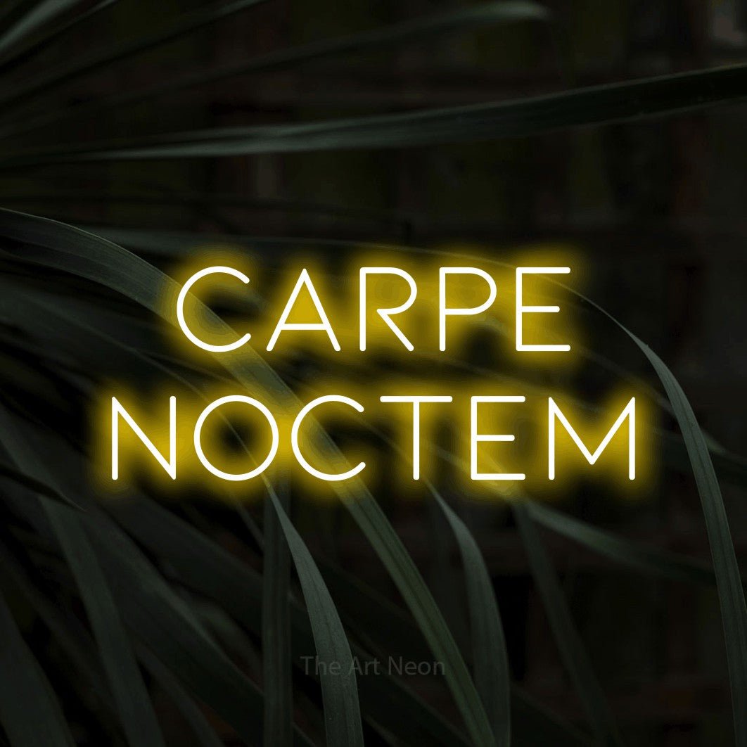 LED neon sign reading “carpe NOCTEM”, arranged in 2 lines.
