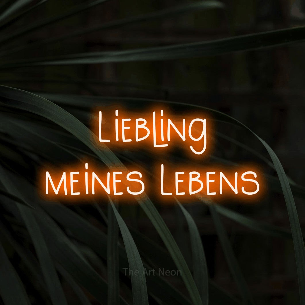 LED neon sign reading “Liebling meines Lebens”, arranged in 2 lines.