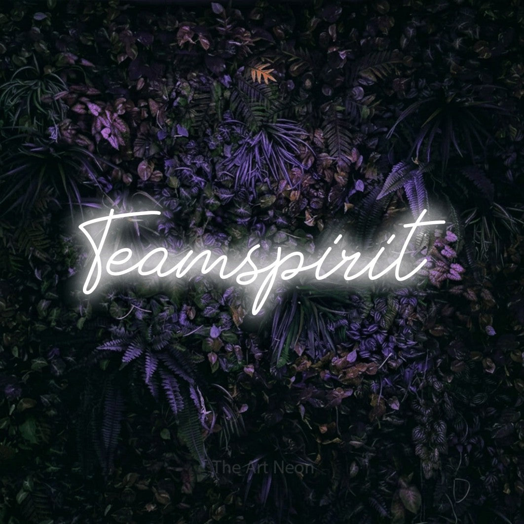 LED neon sign reading “Teamspirit”, arranged in a single line.