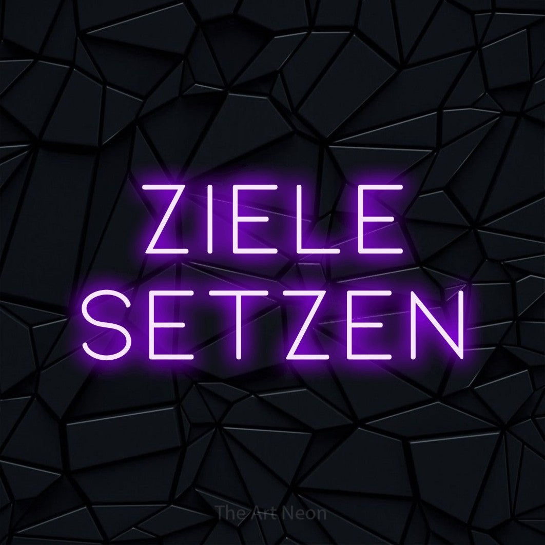 LED neon sign reading “Ziele setzen”, arranged in 2 lines.