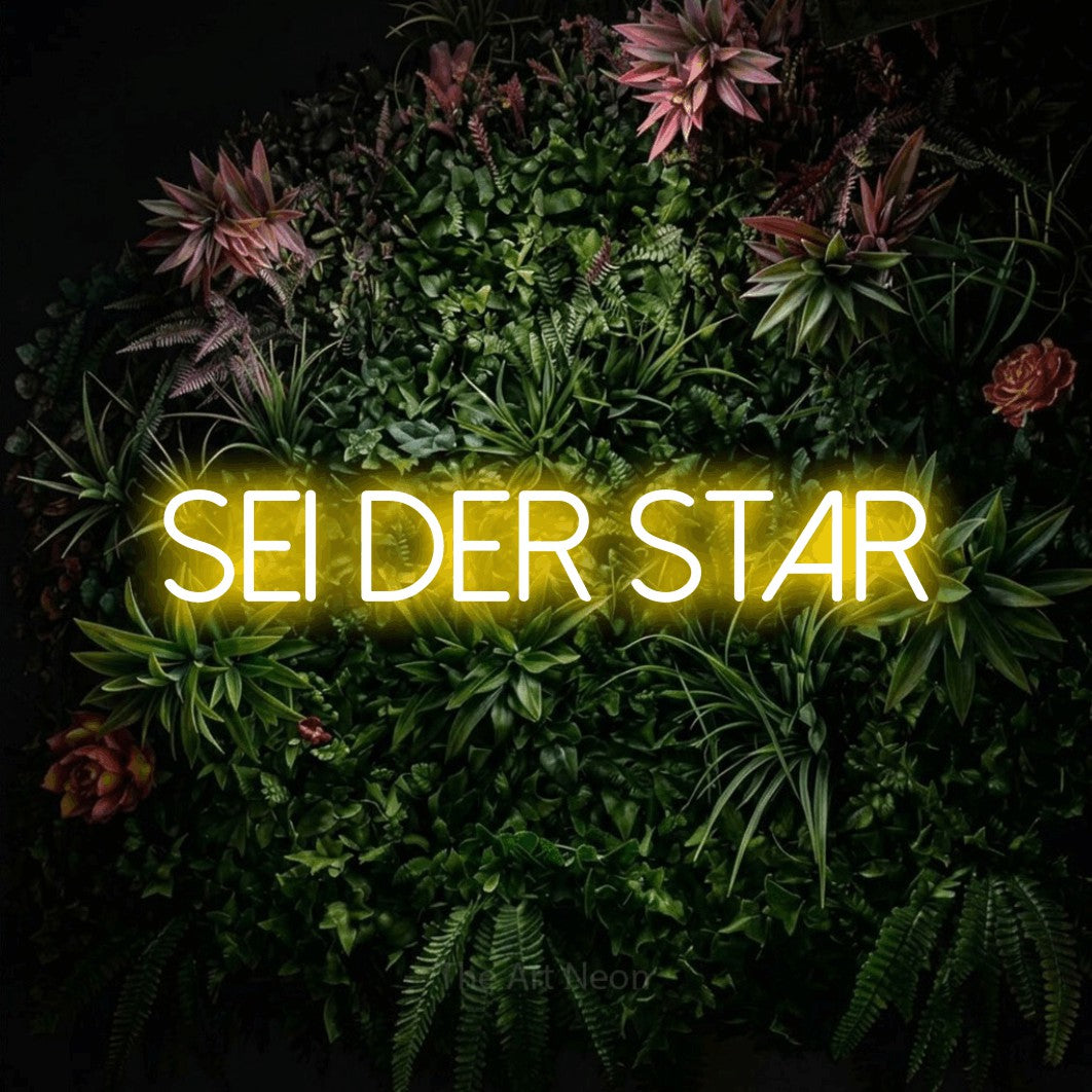 LED neon sign reading “sei der star”, arranged in a single line.