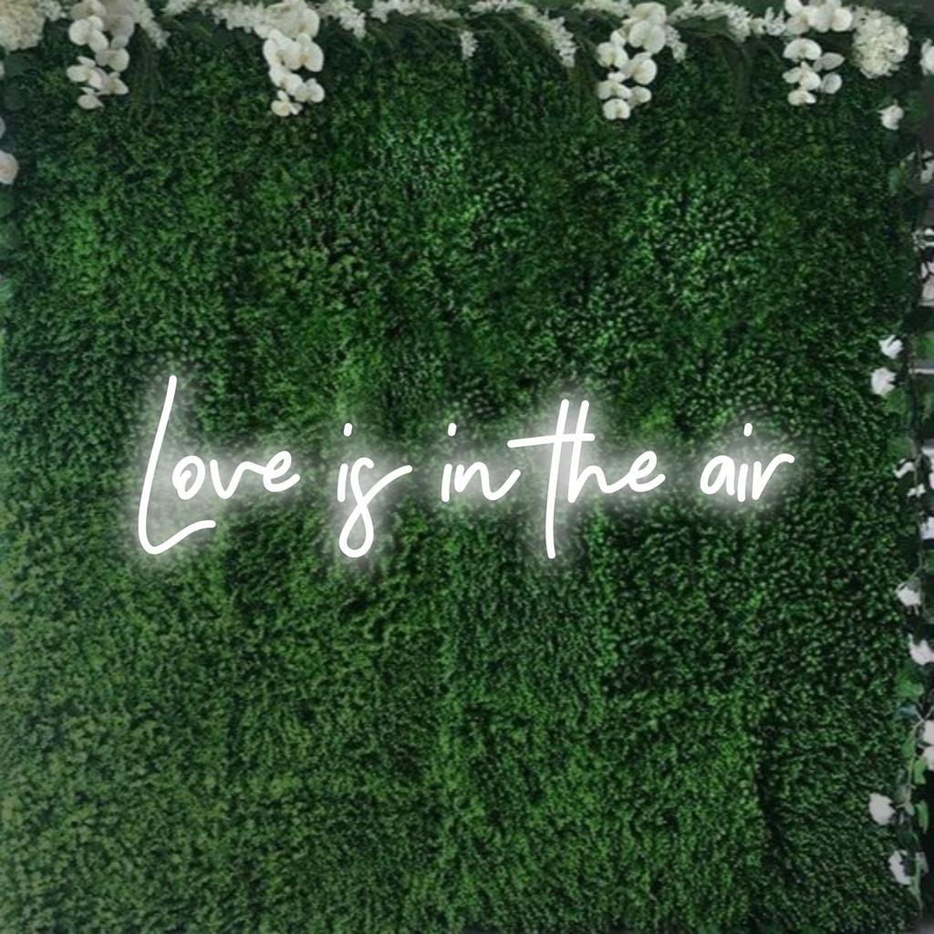 Vibrant LED neon sign radiating Love Is In The Air message, ideal for glowing decor and setting a romantic ambiance.