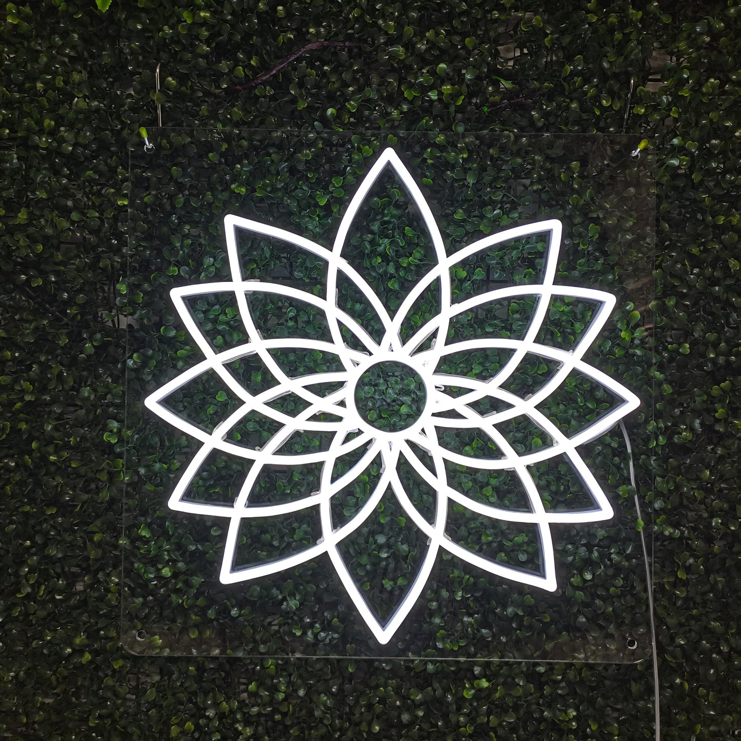 Mandala-Blume Leuchtreklame