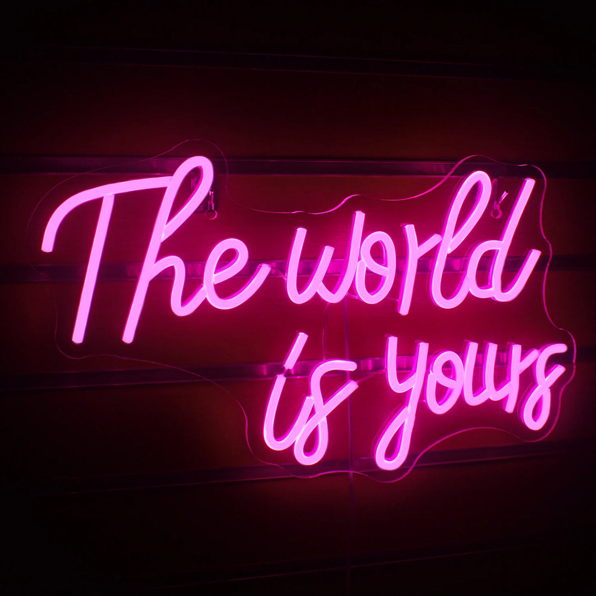 The World Is Yours – LED-Neon-Schriftzug (5 V USB)