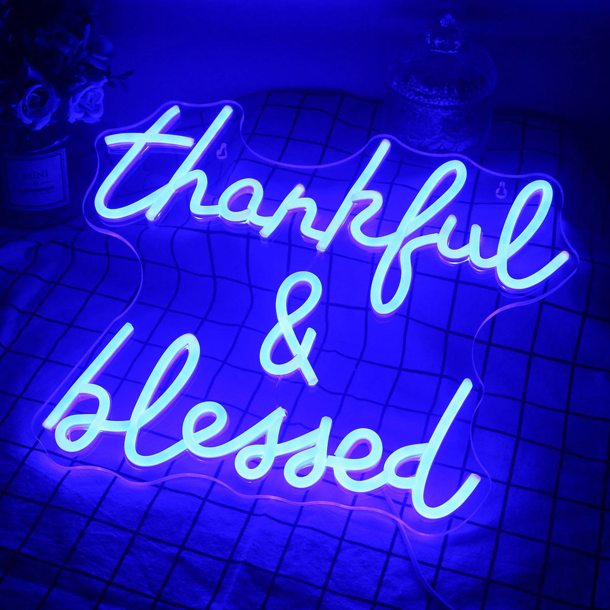 Thankful & Blessed 5V USB LED Neon Sign - Budget Friendly