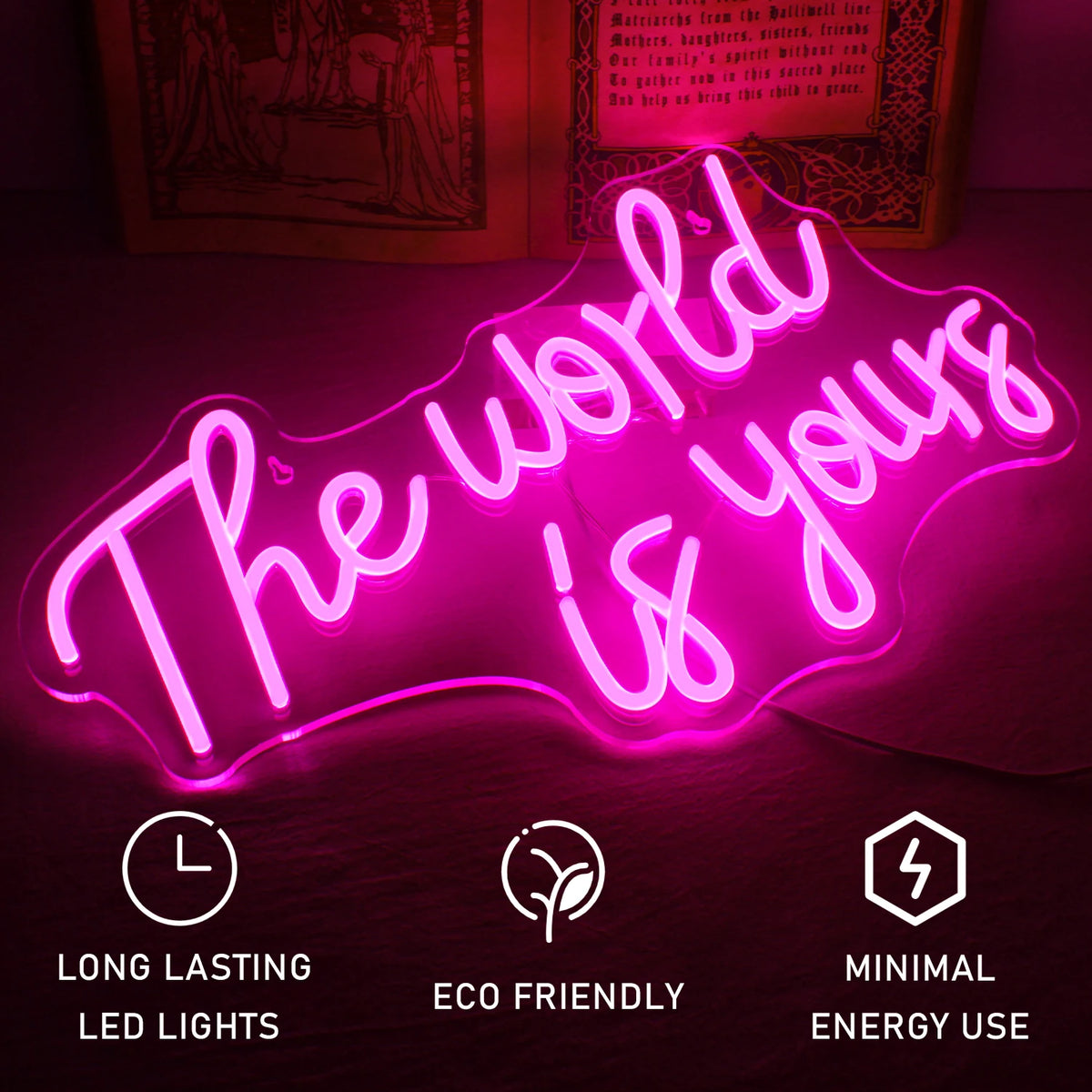 The World Is Yours – LED-Neon-Schriftzug (5 V USB)