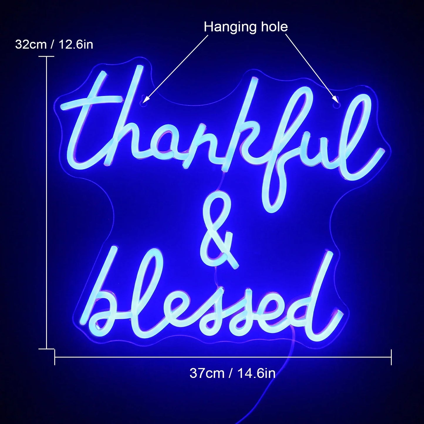 Thankful and Blessed 5V USB LED Neon Sign - Budget Friendly