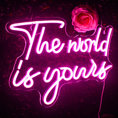 The World Is Yours – LED-Neon-Schriftzug (5 V USB)