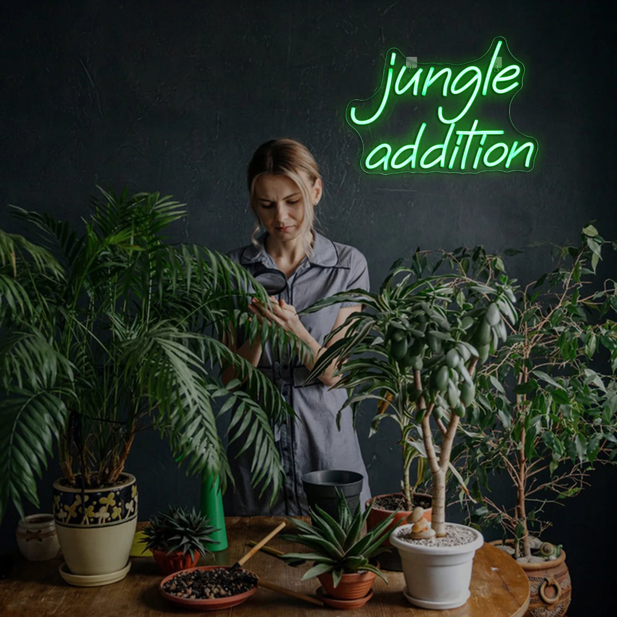Jungle Addition – LED-Neon-Schriftzug (5 V USB)