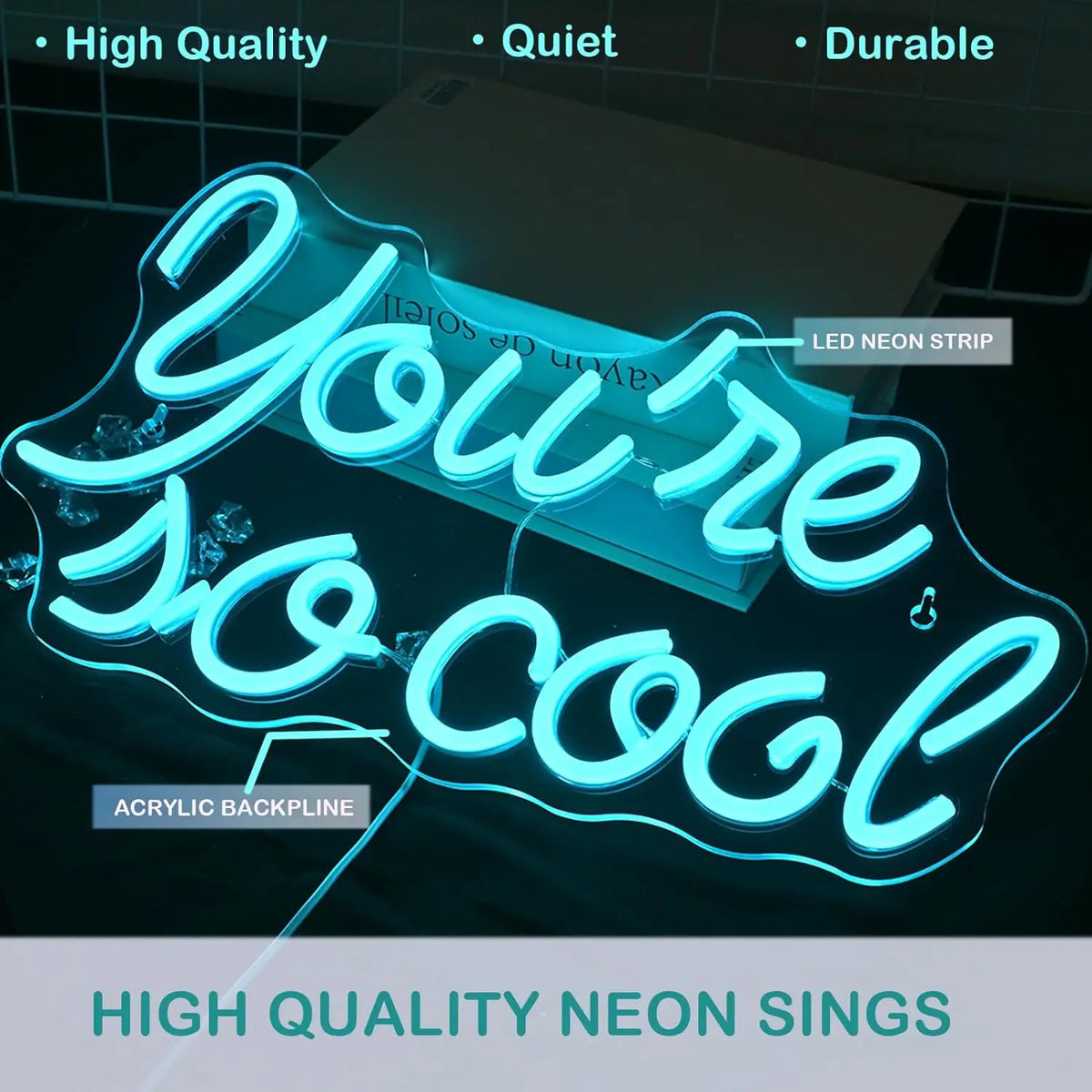 You're so cool – Eisblaue Buchstaben – LED-Neon-Schriftzug (5 V USB)