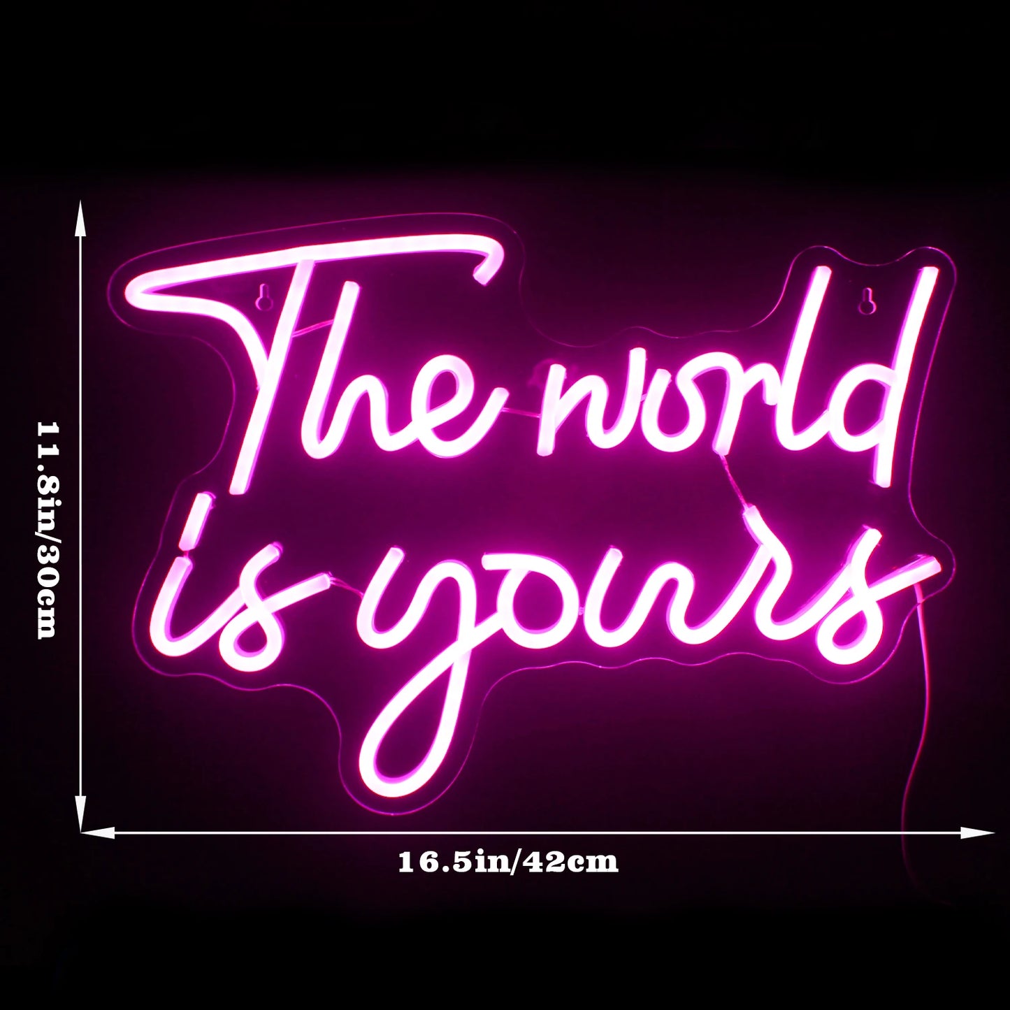 The World Is Yours 5V Mini USB LED Neon Sign - Budget Friendly