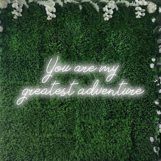 Custom designed LED neon sign featuring the phrase You Are My Greatest Adventure, perfect for personalized neon decor.