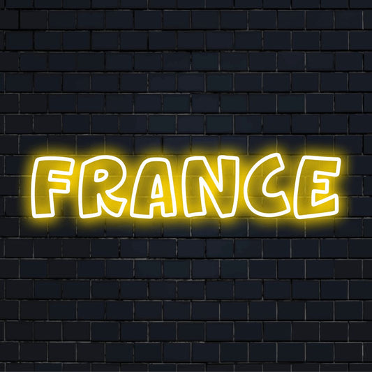 France Neon Sign, bright LED glow on dark brick wall