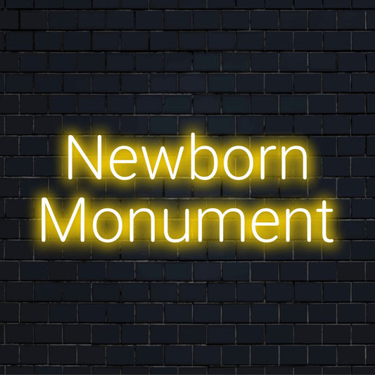 Newborn Monument Neon Sign, bright neon glow on dark brick wall