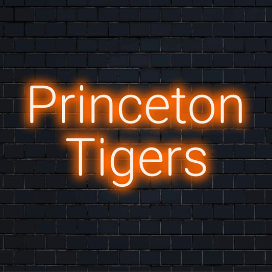 Princeton Tigers Neon Sign, soft neon glow on dark brick background