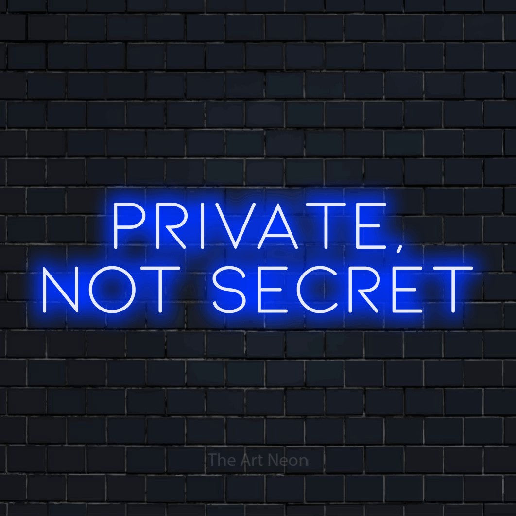 "Private, Not Secret" text design with neon effect on a black brick wall