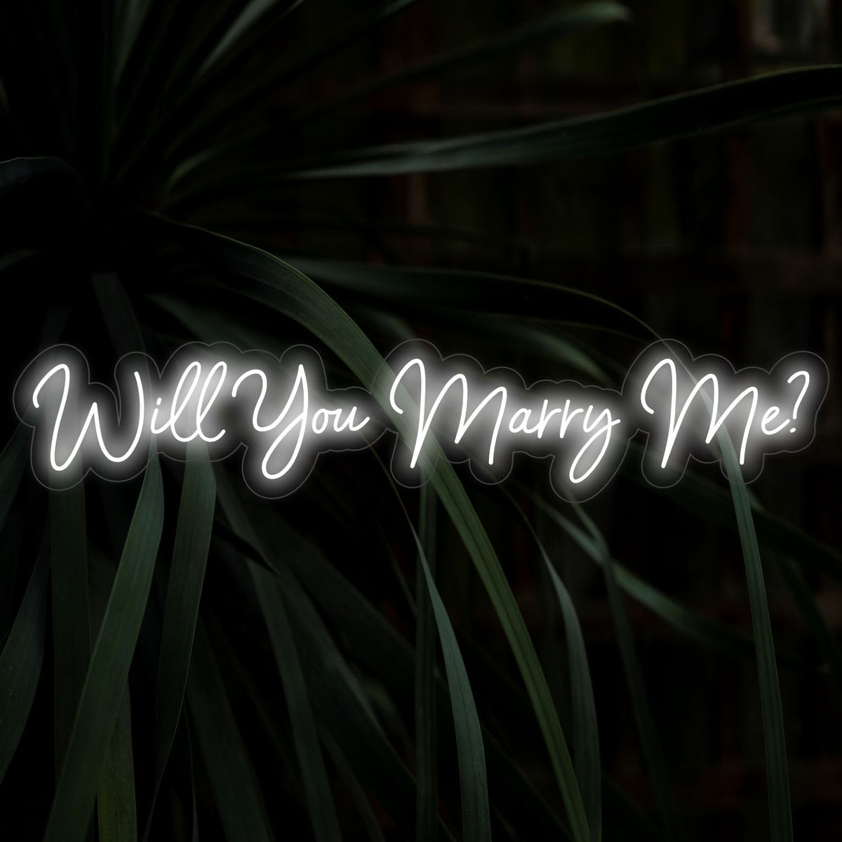 LED-Neonschild „Willst du mich heiraten“ – The Art Neon